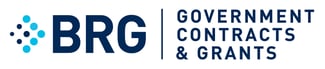 BRG_Sub-Brand_GovCon_PRINT
